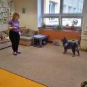 Aktivizační program “Můj kamarád pes“ ve školní družině